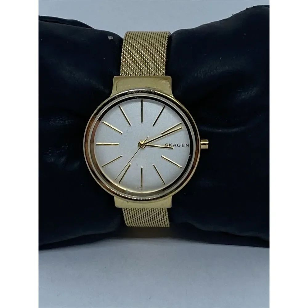 Skagen Ancher SKW2477 Womens Stainless Steel Mesh Analog Dial Quartz Watch JK790